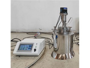 0.3L高温高压不锈钢电加热反应釜已完工发往俄罗斯