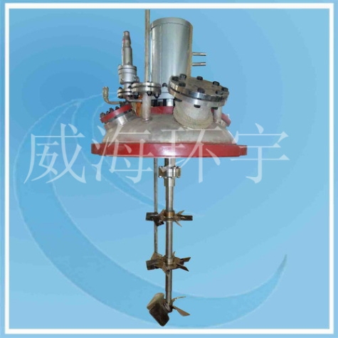 上海0.5L Four-broad-blade paddle+disk turbine mixer