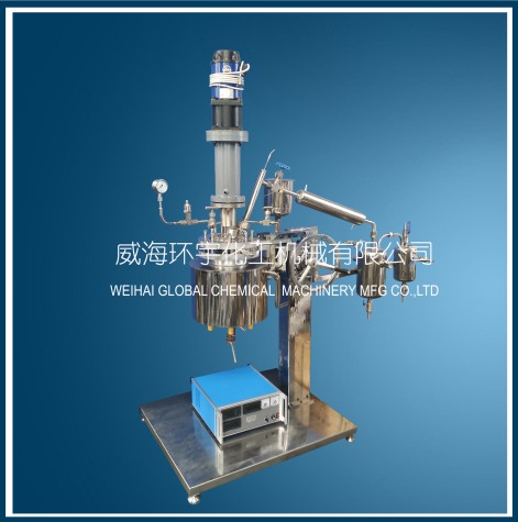 上海5L减压蒸馏反应釜带直连电机