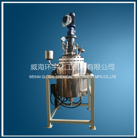 上海GSH-100L Hydrogenation Reactor