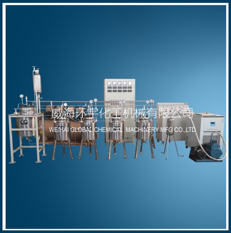 上海0.5L Customized Reactor System