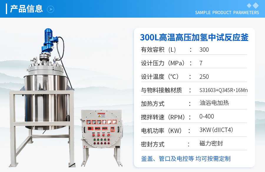 上海300L高温高压加氢反应釜