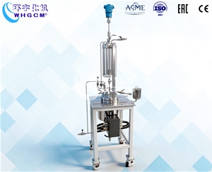 上海1L导热油电加热不锈钢反应釜